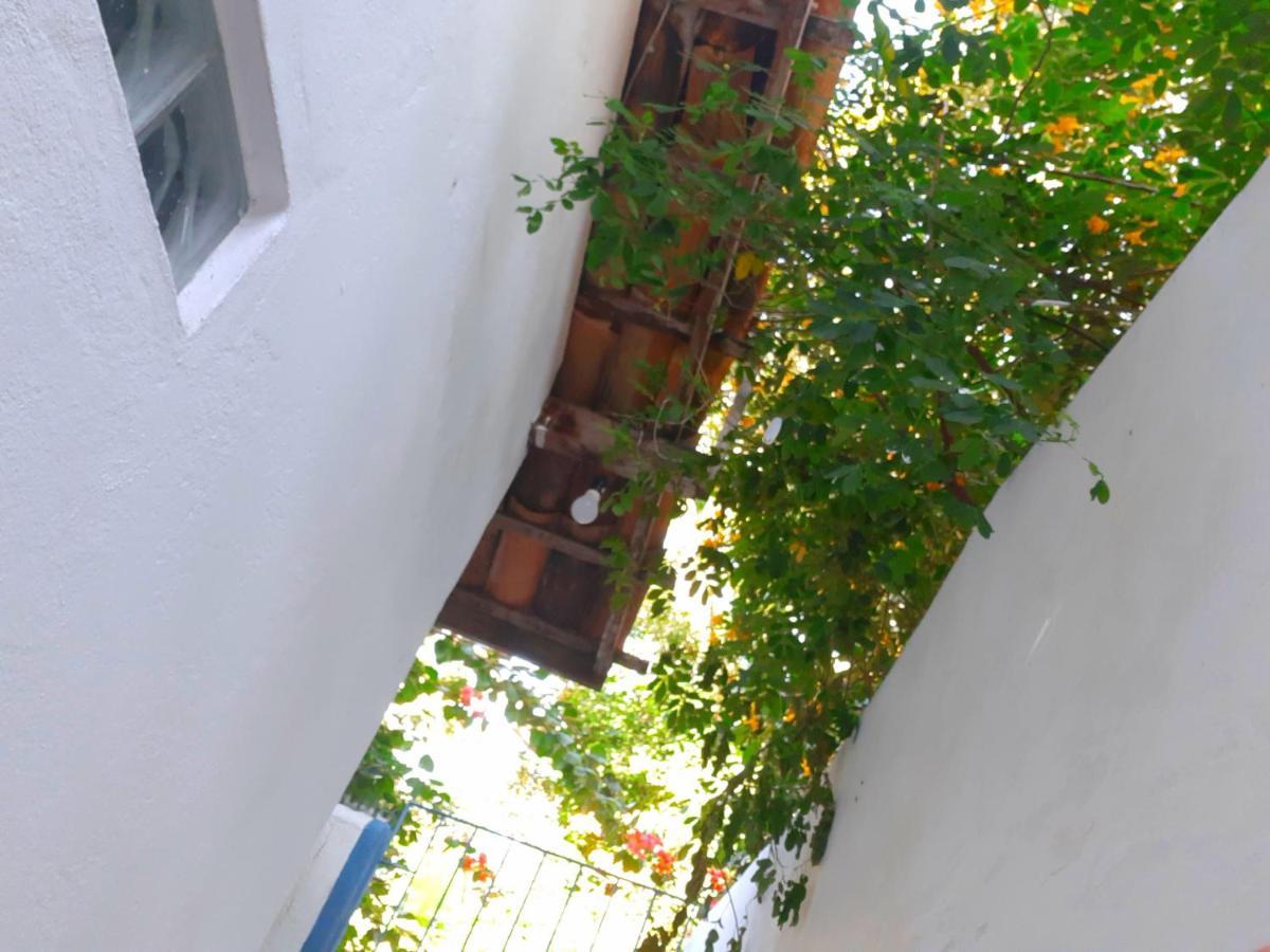 Arraial Casinha Centro Villa Porto Seguro Ngoại thất bức ảnh